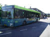 reptielen dierenpark serpo Connexxion stadsbus